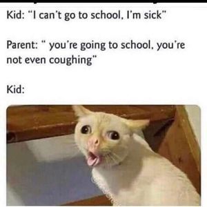 Meet your Posher, Ryan michael